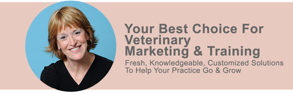 K&G Marketing About Karyn Gavzer