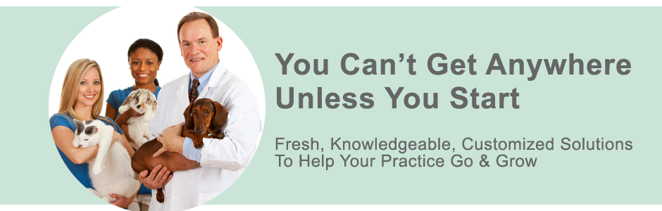 K&G Marketing Veterinarian Planning & Leadership