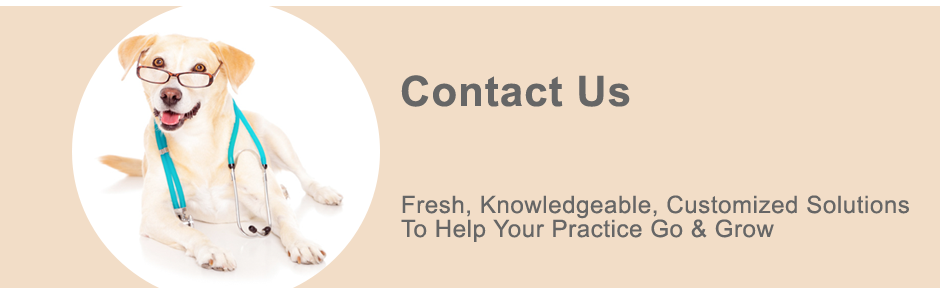 K&G Marketing Veterinarian Staff Training